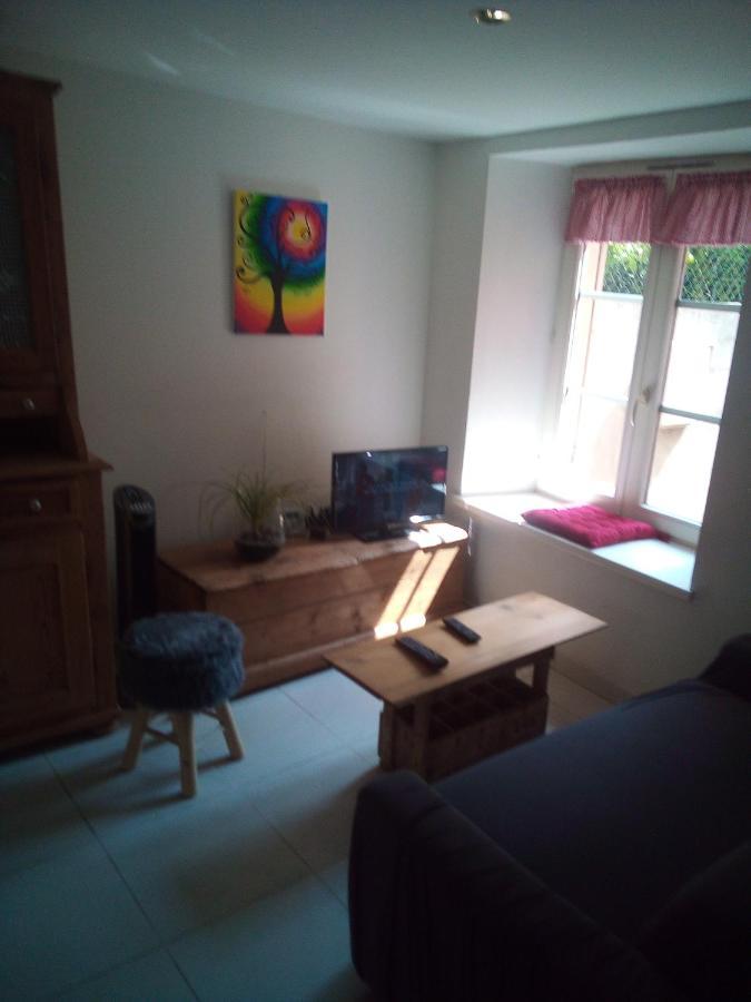 L'Oasis Maisonnette Centre Ville 3 Chambres Terrasse Espace Vert Prive Parc Sainte Croix Center Parc 20 Minutes 자르부르 외부 사진
